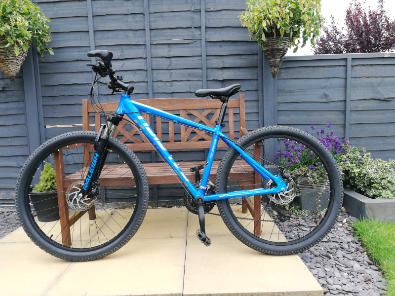 raleigh surge mountain bike